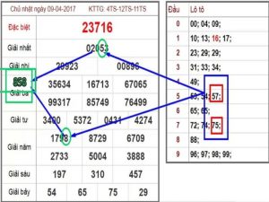 Bí quyết bắt bạch thủ lô hình quả trám