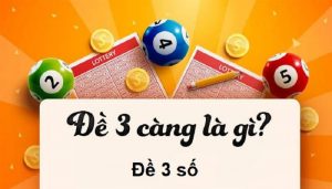 Đề 3 càng là gì?